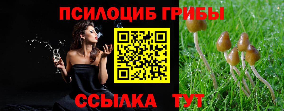 Псилоцибиновые грибы Cubensis  Псилоцибиновые грибы MAGIC MUSHROOMS  Ачинск  где можно купить наркотик  Вход с VPN 